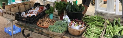 Lot 17 - A monthly seasonal veggie box