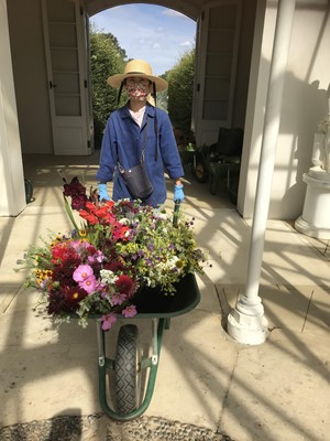 Lot 18 - Seasonal flowers every month for a year