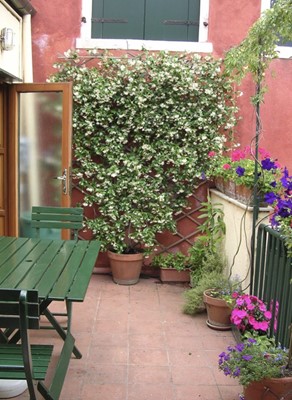Lot 24 - A week in Venice for two