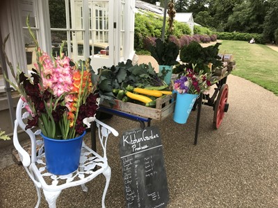Lot 35 - A bespoke selection of vegetables, herbs, flowers, honey, jam and a potted camellia