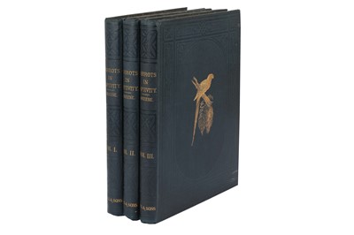 Lot 594 - Natural HIstory