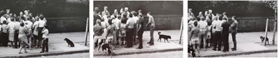 Lot 316 - Elliott Erwitt b.1928
