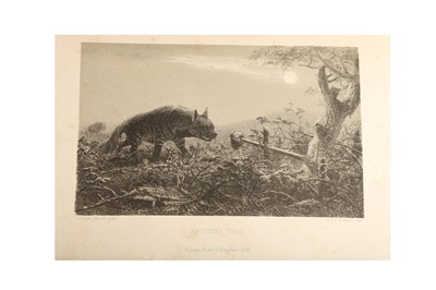 Lot 600 - Andersson (Charles John) Lake Ngami