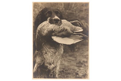 Lot 338 - Hermann Fischer (1885-1975)