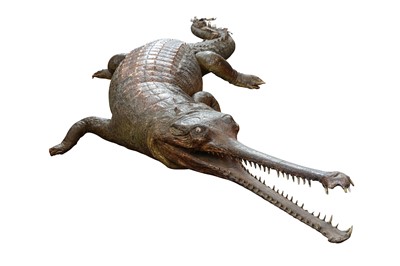 Lot 154 - A VERY LARGE AND RARE LATE 19TH CENTURY WHOLE TAXIDERMY GHARIAL (GAVIALIS GANGETICIUS)