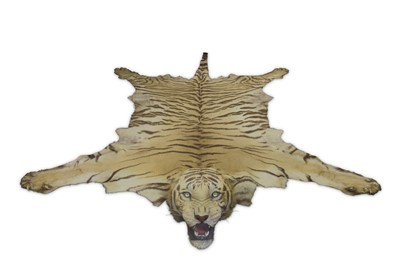 Lot 13 - AN EARLY 20TH CENTURY TAXIDERMY BENGAL TIGER BY VAN INGEN & VAN INGEN OF MYSORE