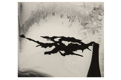 Lot 368 - Minor White (1908 – 1976)