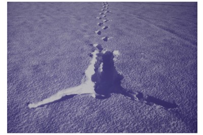 Lot 157 - SIR ANTONY GORMLEY (B. 1950)