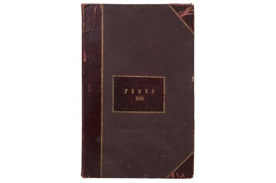 Lot 121 - AN UNUSUAL AND POSSIBLY UNIQUE VICTORIAN PTERIDOMANIA NATURE PRINTING ALBUM