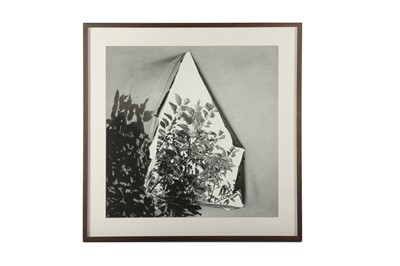 Lot 316 - Camille Zakharia, b.1962