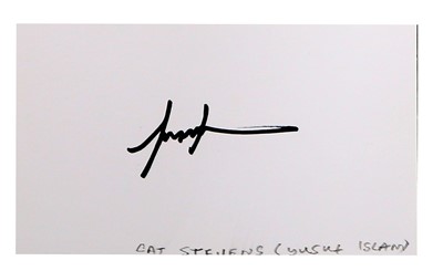 Lot 309 - Steven (Cat)