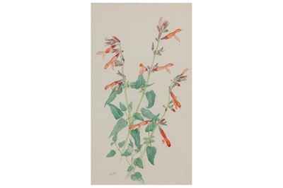 Lot 51 - JOHN NASH, R.A. (1893–1977)