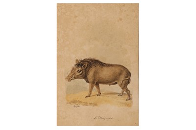 Lot 923 - SAMUEL HOWITT (BRITISH 1756/57 - 1822)