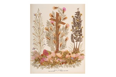 Lot 884 - A PRESSED FLOWERS AND TINTED PHOTOGRAPHS ALBUM IN CARVED OLIVE WOOD BINDING