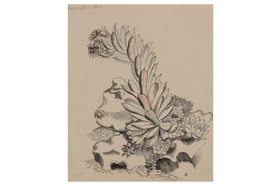 Lot 50 - JOHN NASH, R.A. (1893–1977)