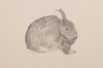 Lot 344 - TESSA NEWCOMB (B. 1951)