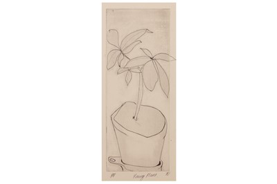 Lot 336 - TESSA NEWCOMB (B. 1955)