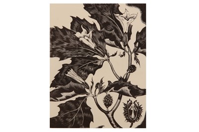 Lot 214 - JOHN NASH, R.A. (1893-1977)