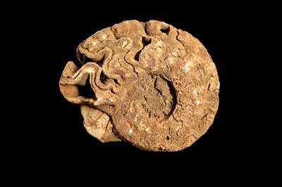 Lot 284 - AN AMMONITE FOSSIL