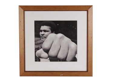 Lot 363 - Sporting Interest