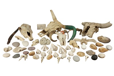 Lot 609 - A COLLECTION OF NATURAL HISTORY SPECIMENS