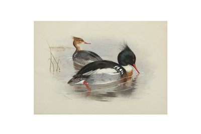 Lot 408 - ARCHIBALD THORBURN (BRITISH 1860 - 1935)