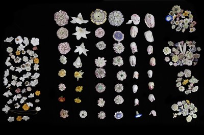 Lot 84 - A VERY LARGE COLLECTION OF 19TH  CENTURY AND LATER VINCENNES STYLE PORCELAIN FLOWERS