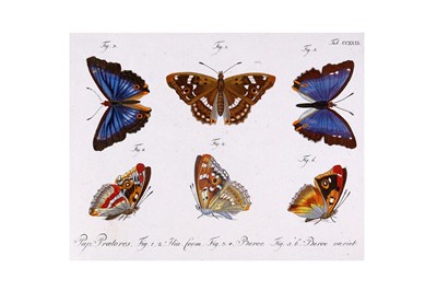 Lot 1116 - Entomology.- Jablonsky (C.G.)