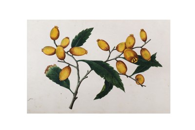 Lot 1074 - Chinese Paintings on pith paper