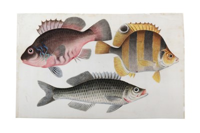 Lot 1074 - Chinese Paintings on pith paper