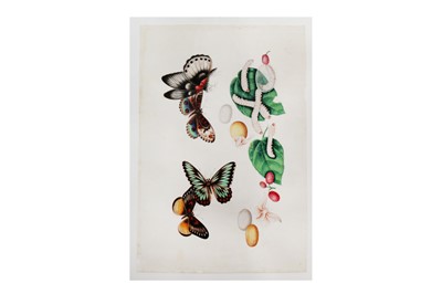 Lot 1074 - Chinese Paintings on pith paper