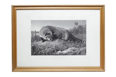 Lot 1205 - Landseer (Edwin) Not Caught Yet