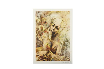 Lot 469 - REPLETE (BRITISH)