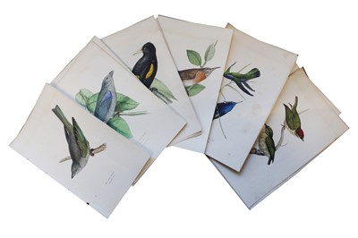 Lot 1114 - [Swainson (William) Zoological Illustrations]