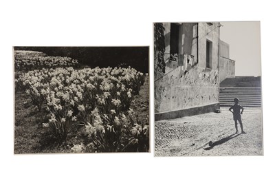 Lot 353 - Margaret Florence Harker (1920-2013)