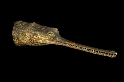 Lot 156 - AN ANTIQUE TAXIDERMY GHARIAL HEAD CIRCA 1900