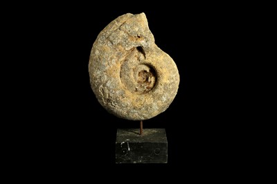 Lot 269 - A LARGE MOUNTED AMMONITE