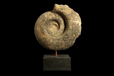 Lot 270 - A MOUNTED AMMONITE