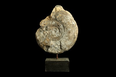 Lot 271 - A MOUNTED AMMONITE