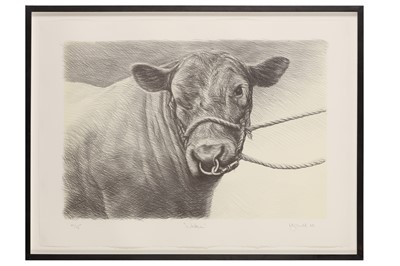 Lot 830 - ANGUS MCDONALD (AUSTRALIAN B. 1961)