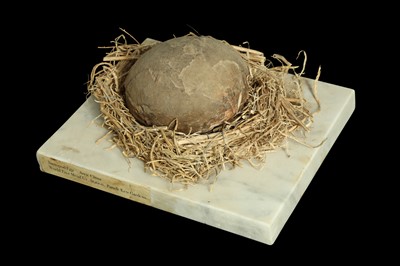 Lot 289 - A SECTION OF FOSSILISED SAUROPOD EGG, CHINA