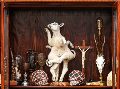 Lot 82 - A TAXIDERMY EIGHT LEGGED LAMB BY ANDRE ROBOLOBAVICH