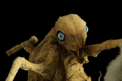 Lot 3 - THE EIGHT LEGGED STRIPPING LAMB, TAXIDERMY ART BY ANDRE ROBOLOBAVICH