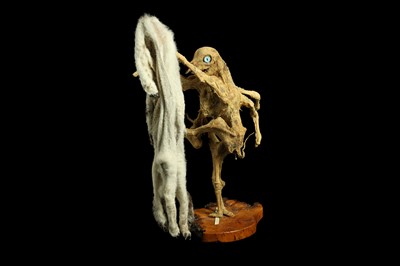 Lot 3 - THE EIGHT LEGGED STRIPPING LAMB, TAXIDERMY ART BY ANDRE ROBOLOBAVICH