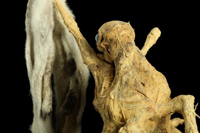 Lot 3 - THE EIGHT LEGGED STRIPPING LAMB, TAXIDERMY ART BY ANDRE ROBOLOBAVICH