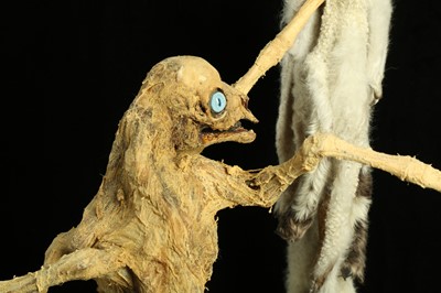 Lot 3 - THE EIGHT LEGGED STRIPPING LAMB, TAXIDERMY ART BY ANDRE ROBOLOBAVICH