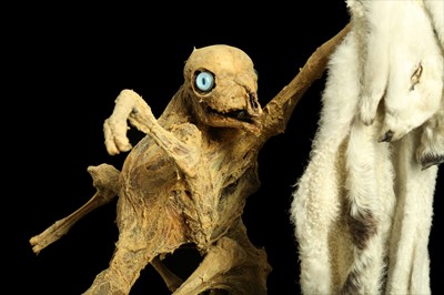Lot 3 - THE EIGHT LEGGED STRIPPING LAMB, TAXIDERMY ART BY ANDRE ROBOLOBAVICH