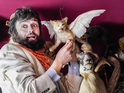 Lot 29 - THE FAMOUS TAXIDERMY WINGED KITTEN