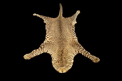 Lot 56 - AN EARLY 20TH CENTURY LEOPARD'S SKIN