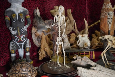 Lot 20 - A SMALL MONKEY SKELETON UNDER A GLASS DOME